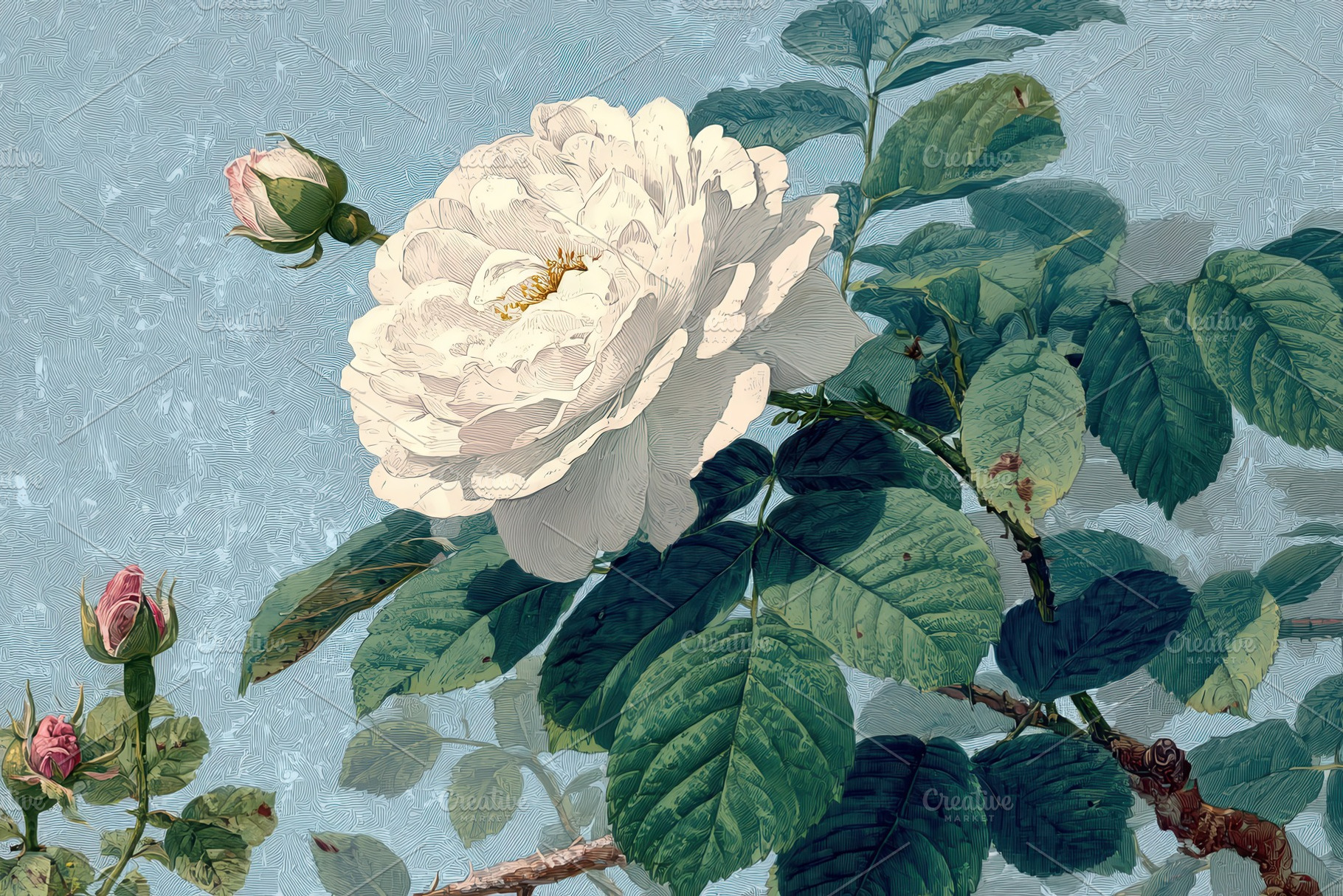White Rose Bloom Botanical Art Paint, a Photo by Pixeness Studio