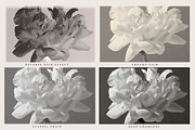 4 in 1 NOSTALGIA TONES, a Layer Style Add-On by Kristina&Co (Thumbnail 2 of 11)