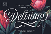 Delirian Script & Ornaments, a Script Font by Andrey Sharonov (Thumbnail 1 of 16)