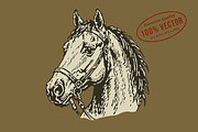 Vintage Horse Head Illustration, an Animal Illustration by lettett (Thumbnail 1 of 3)