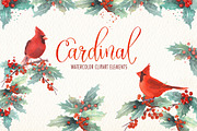Cardinal bird watercolor clipart set, an Illustration by Art & Things (Thumbnail 1 of 6)