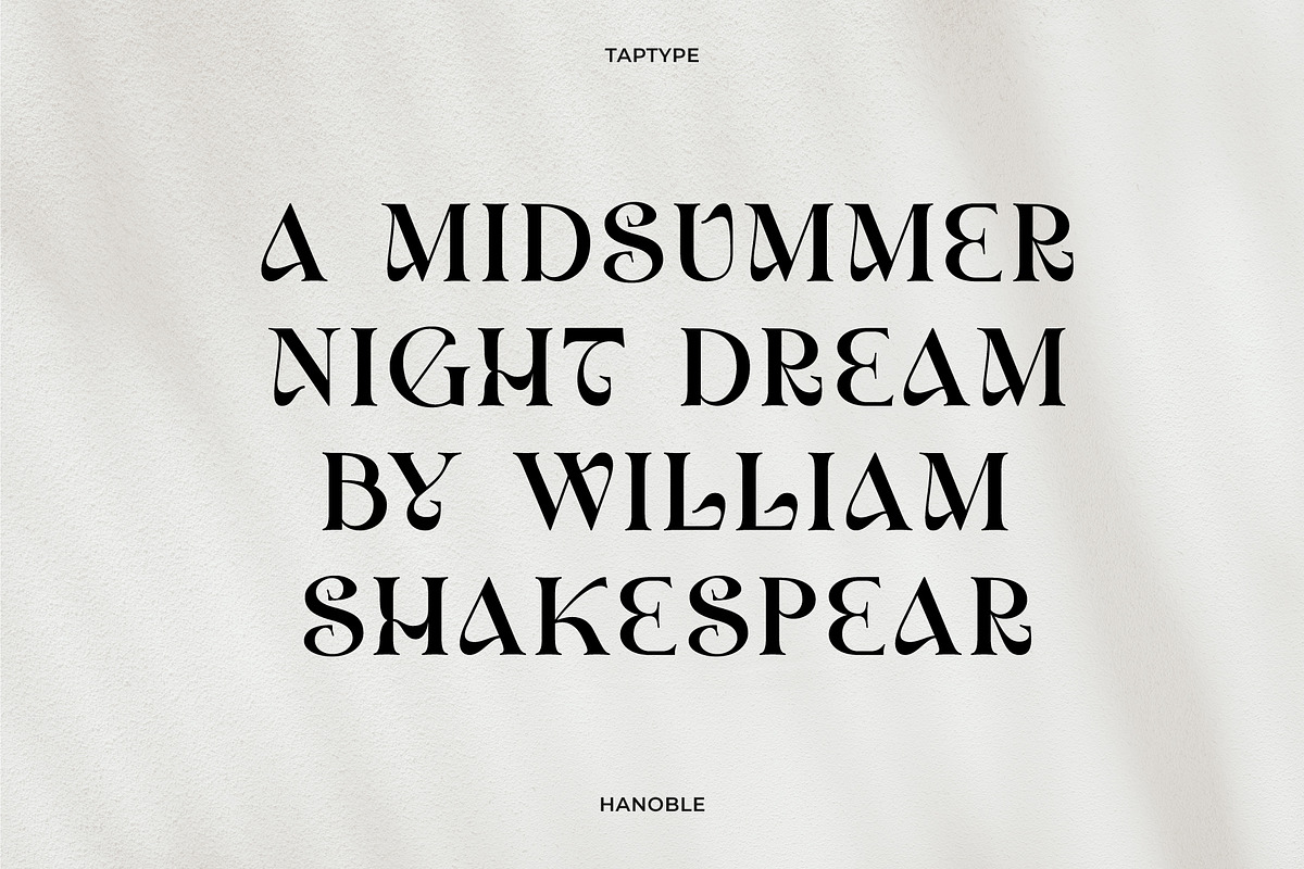 Hanoble - Modern Ligature Serif, a Serif Font by Vesvocrea (Photo 4 of 13)