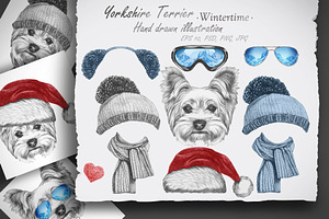 Yorkshire terrier / Wintertime