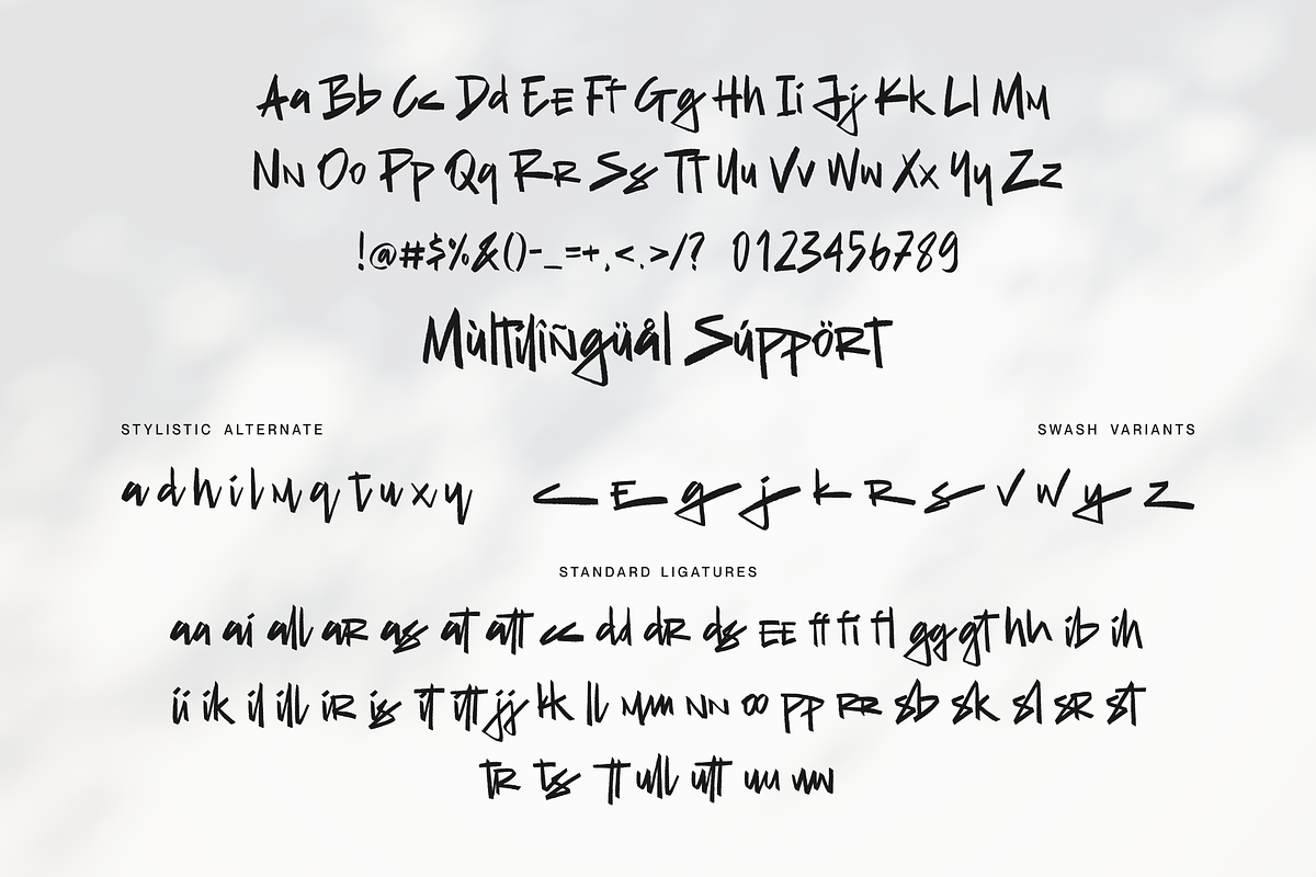 The Old Falcons Font, a Script Font by Allouse Studio (Photo 5 of 11)