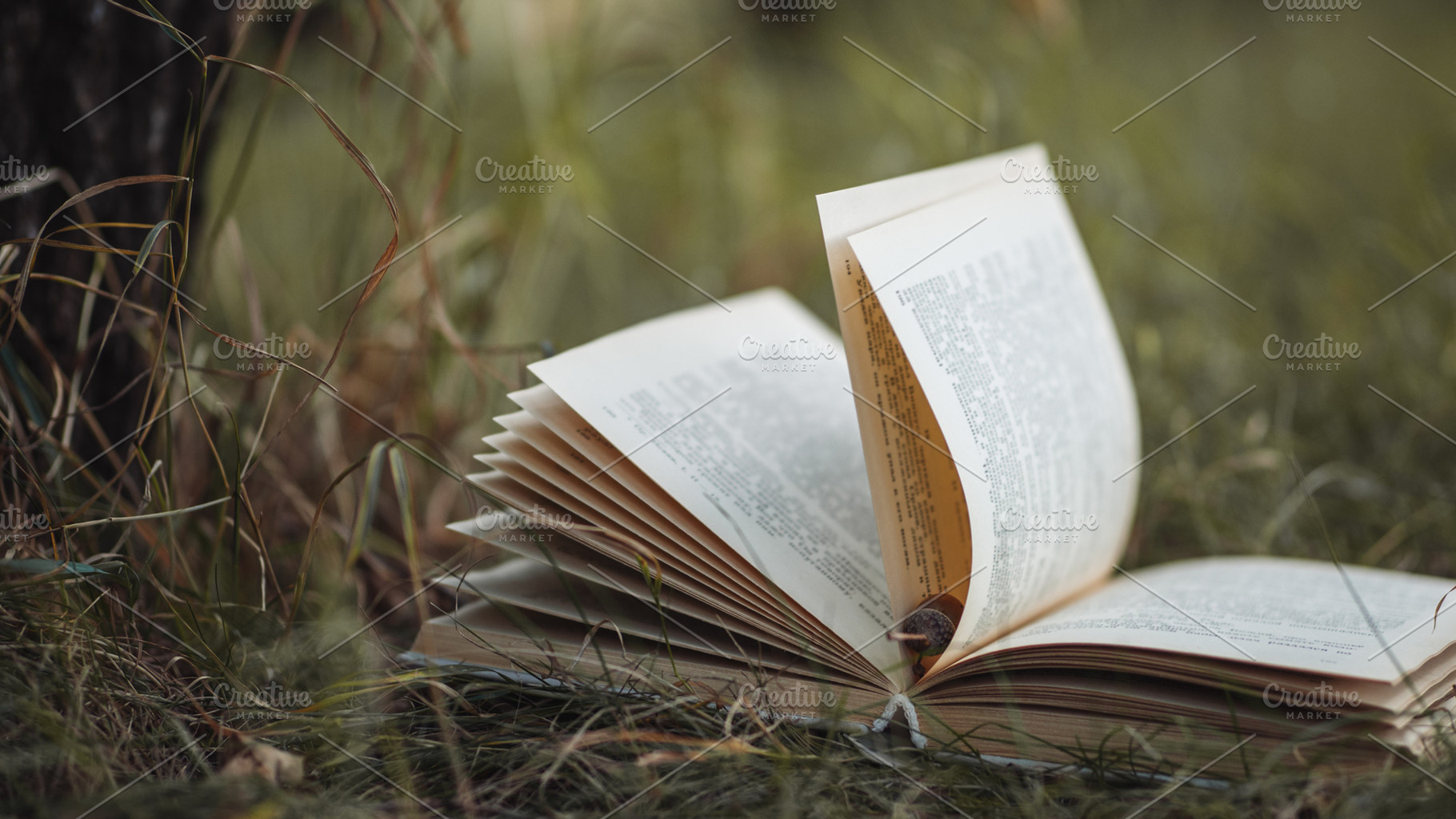 The old book lies on the grass in th stock photo containing book and old, a School & Education Photo by PavelKant