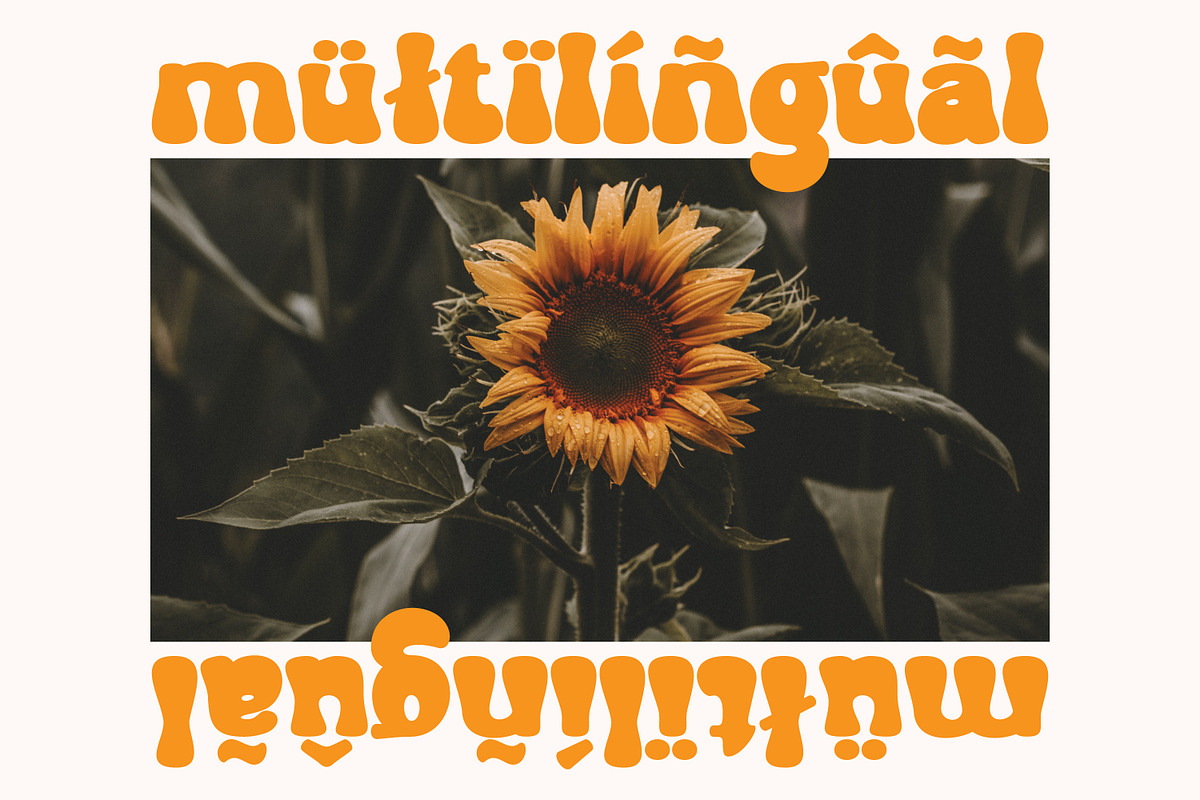 Groovy Orange - Groovy Retro, a Symbol Font by tebaltipislab (Photo 10 of 15)
