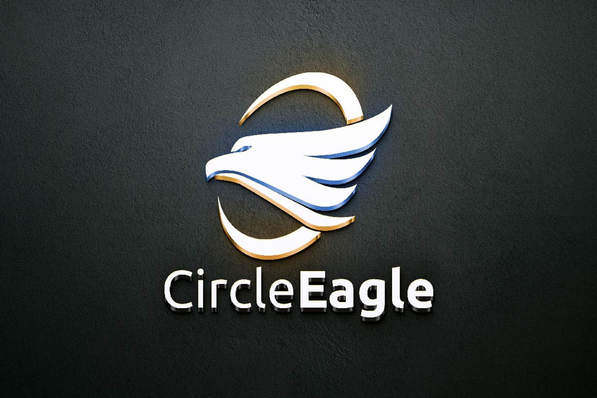 Circle Eagle Hawk Falcon Bird Logo, a Branding & Logo Template by jongcreative (Photo 2 of 4)