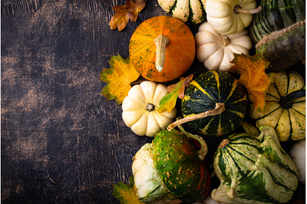 Autumn fall background with pumpkins, a Food & Drink Photo by Yulia Furman