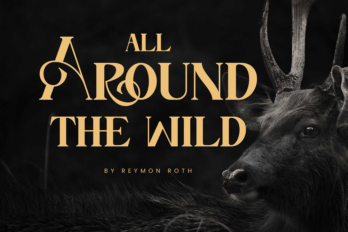 Stand For Honour, a Serif Font by Novitype (Photo 6 of 10)