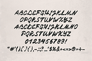 Summer Rush Handwritten Display Font, a Handwritten Font by Nonceni (Thumbnail 4 of 10)