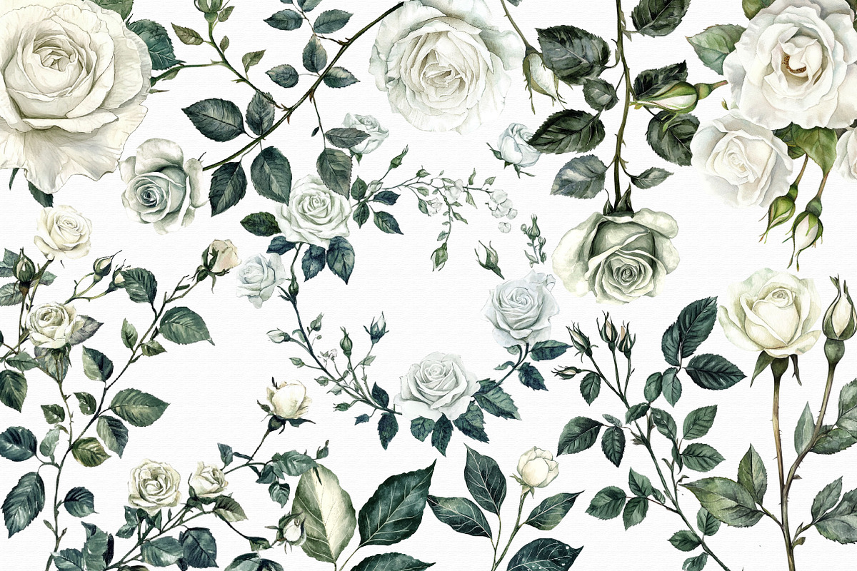 Watercolor White Roses Clipart, an Illustration by Libby Wishes (Photo 2 of 3)