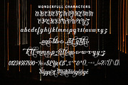 Wonderfully, a Script Font by Akifatype. (Thumbnail 3 of 7)