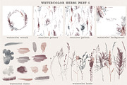 Watercolor herbs collection, a Decorative Illustration by Tatiana Davidova (Thumbnail 5 of 8)