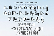 Detective, a Handwritten Font by FreshTypeINK (Thumbnail 4 of 7)