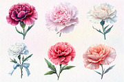 Watercolor Carnation Flower Clipart, an Illustration by Dream Creation (Thumbnail 4 of 6)