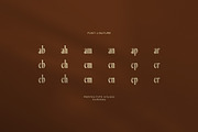 Karisma Elegant Serif Font, a Serif Font by Perfectype (Thumbnail 8 of 8)