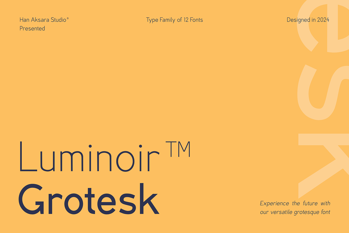 Luminoir Grotesk  - Variable Font, a Sans Serif Font by Hanaksara Studio (Photo 1 of 11)