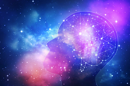 Concept of human intelligence featuring abstract, algorithm, and anatomy, a School & Education Photo by Nednapa
