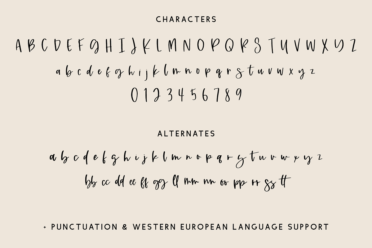 Tallahassee Script, a Script Font by Beck McCormick (Photo 10 of 10)