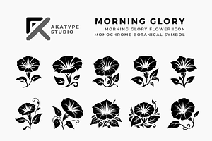 Morning Glory Icon Vector, an Icon by Akatype Studio