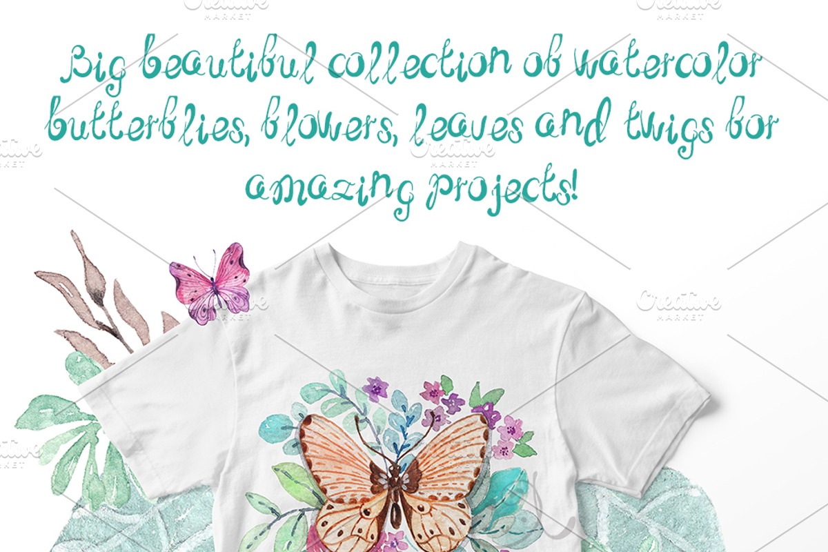 Butterflies and plants, collection, an Illustration by JaneLane (Photo 2 of 5)