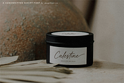 Bristleback, a Script Font by Shopifont.co (Thumbnail 6 of 13)