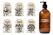 Set 40 hand drawn plants., an Object Graphic by MarinaVorontsova (Thumbnail 4 of 8)