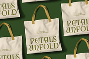 CS Amoret – Art Nouveau Font, a Serif Font by Craft Supply Co. (Thumbnail 5 of 8)