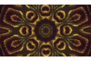 Abstract Fractal Flower Shapes