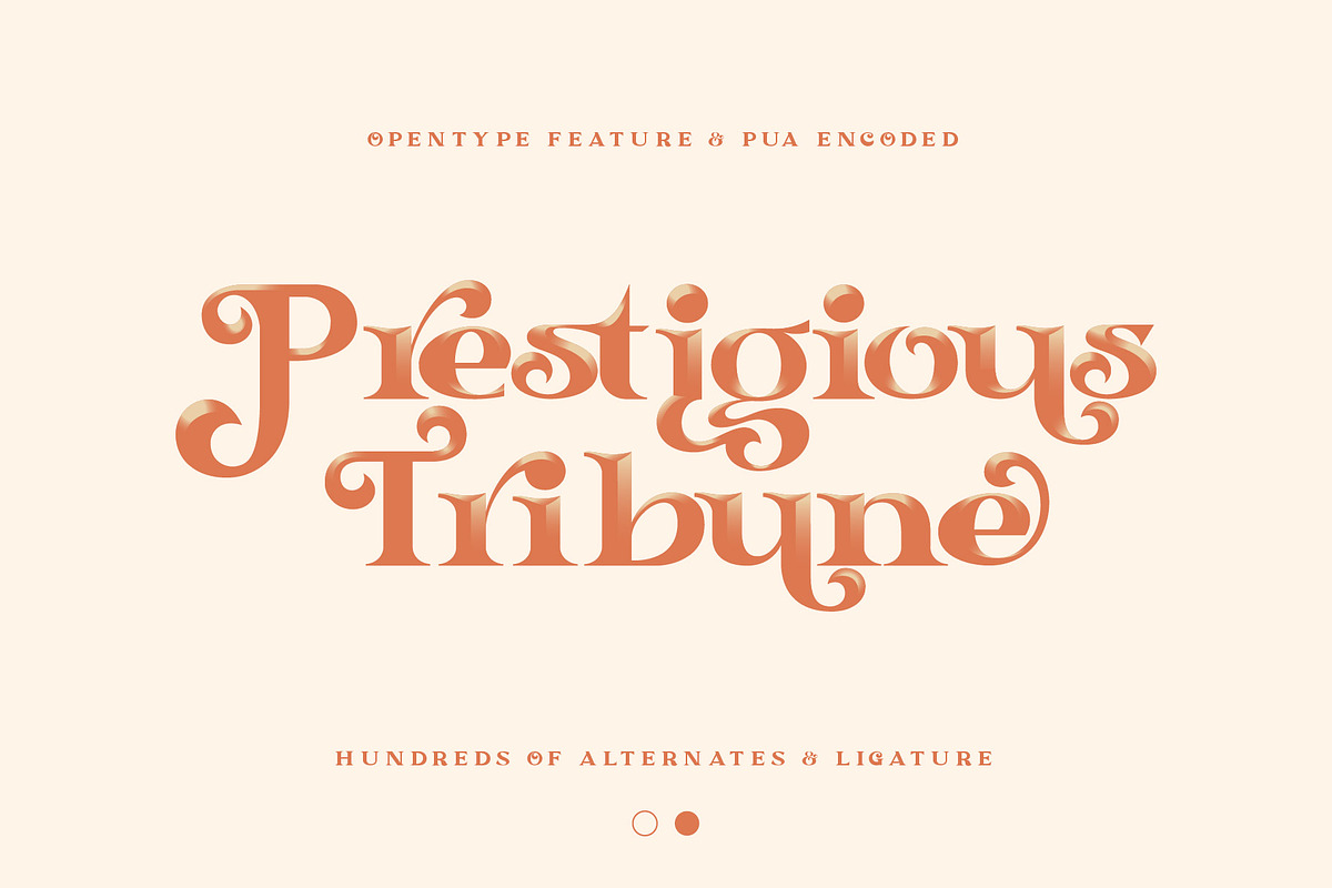 Matheo, a Serif Font by Burntilldead (Photo 2 of 15)