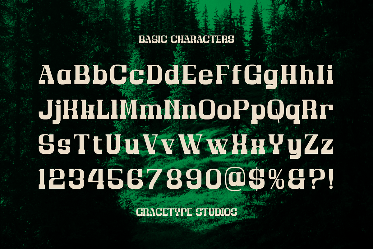 Bravo Amori | Display Slab Serif, a Slab Serif Font by gracetype_studio (Photo 10 of 12)