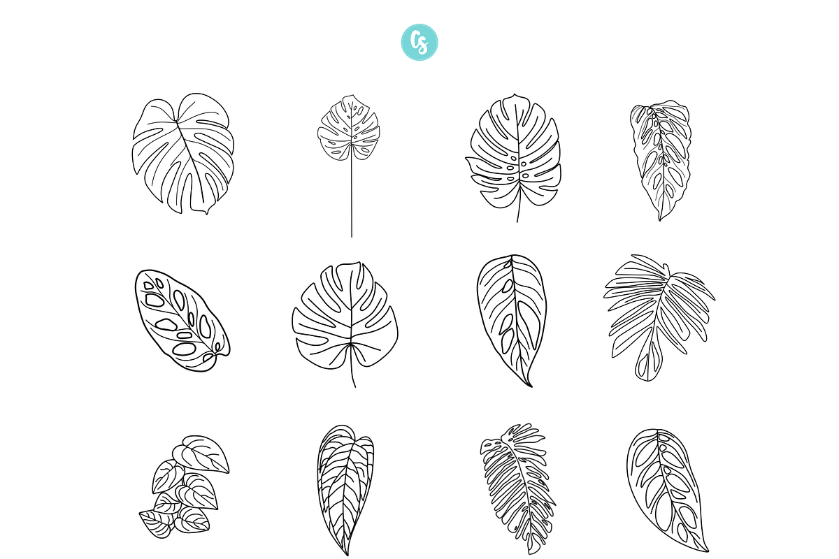 Monstera Procreate Stamp Brushes, a Brush Add-On by Cate Shaner (Photo 2 of 4)