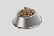 Dog food Bowl Stainless Steel Food, an Object 3D Model by fahad121 (Thumbnail 7 of 7)