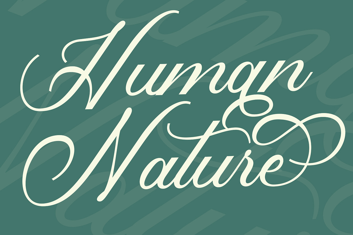 Histogram Script Font, a Script Font by Arendxstudio (Photo 5 of 8)