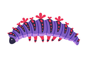 Purple Caterpillar As Larval Stage