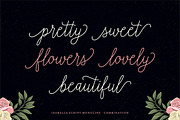 Font Collection | 33 Fonts, a Script Font by Seniors (Thumbnail 3 of 66)