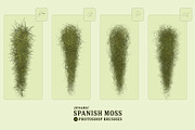 Spanish Moss Photoshop Brushes, a Brush Add-On by Mohamed Saber (Thumbnail 4 of 5)