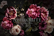 Aphrodite Floral Clip Art Collection, an Object Graphic by Eclectic Anthology (Thumbnail 2 of 13)