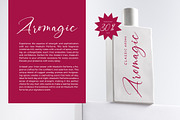 Montise Natasha Stylish Handwritten, a Script Font by stylishtype.co (Thumbnail 4 of 20)