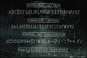 The Playful Font Bundle, a Script Font by Digital Hustler (Thumbnail 30 of 37)