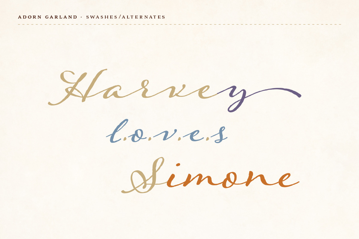 Adorn Collection, a Sans Serif Font by Laura Worthington (Photo 18 of 62)