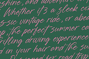 Blynkas Scripte Handwritten Font, a Script Font by Letterena Studios Script (Thumbnail 11 of 15)
