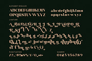 Fenita Elgone Elegant Serif Font, a Serif Font by Perfectype (Thumbnail 6 of 8)