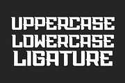 Speedy Geforce, a Serif Font by QR Design Studio (Thumbnail 3 of 6)