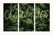 Bolzano - A Beautiful Script Font, a Script Font by Graphicfresh (Thumbnail 5 of 8)