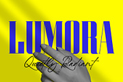 Mistkin | Font Duo, a Serif Font by Lemonthe (Thumbnail 8 of 10)