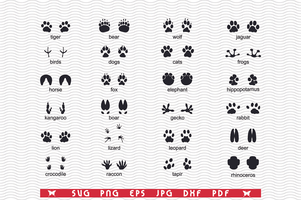SVG Traces Wild Animals,Silhouettes, a Background Graphic by DesignStudioRM