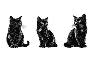 Black cats. Isolated sitting cat, an Object Illustration by Valerie Bodnar