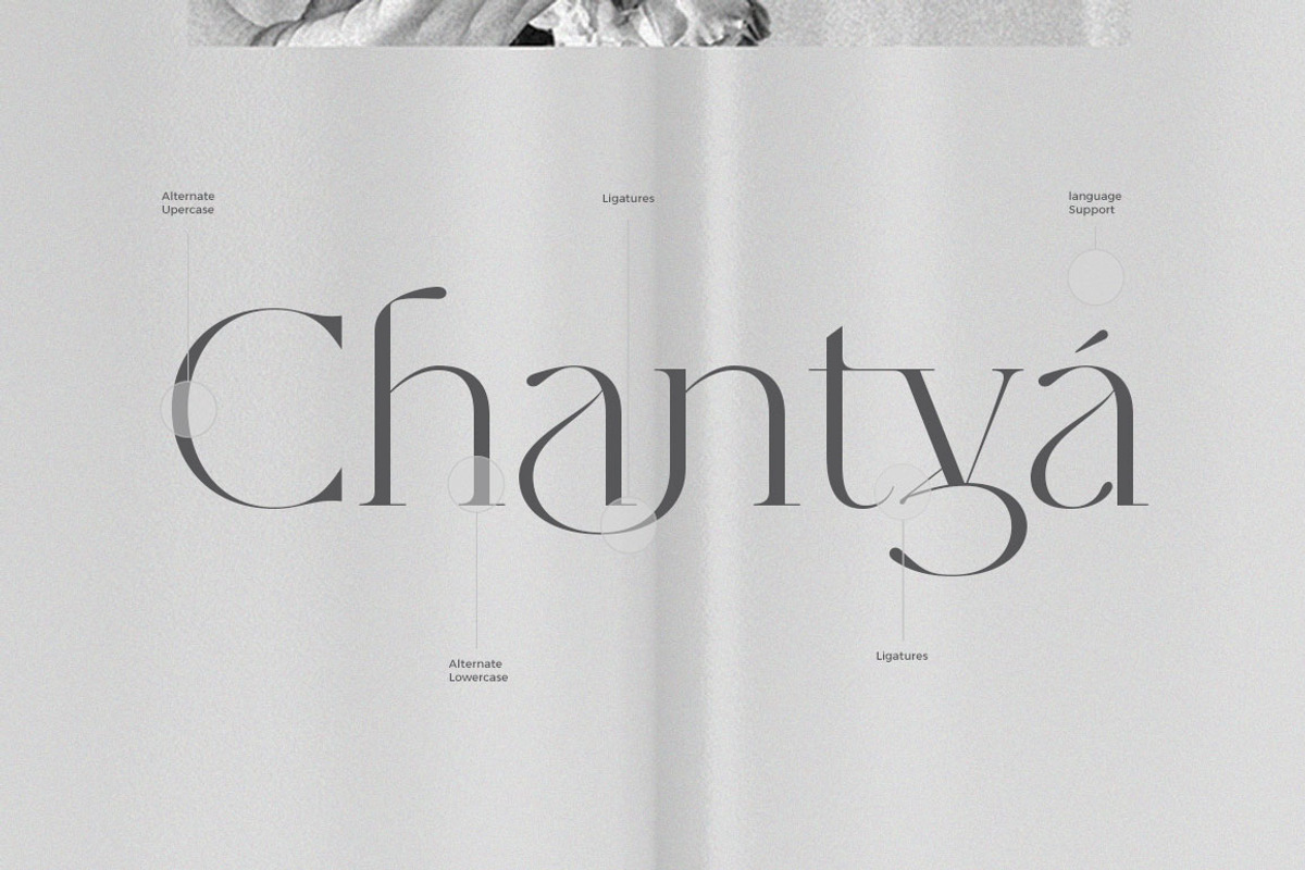 Rhiffiral, a Serif Font by Dora Typefoundry (Photo 17 of 30)