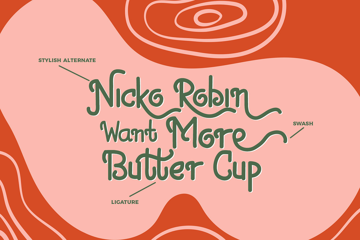 Nicko Robin a Stunning Display Font, a Sans Serif Font by Dawnside Graphic (Photo 4 of 11)